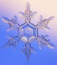 Winter And My Electric Bill